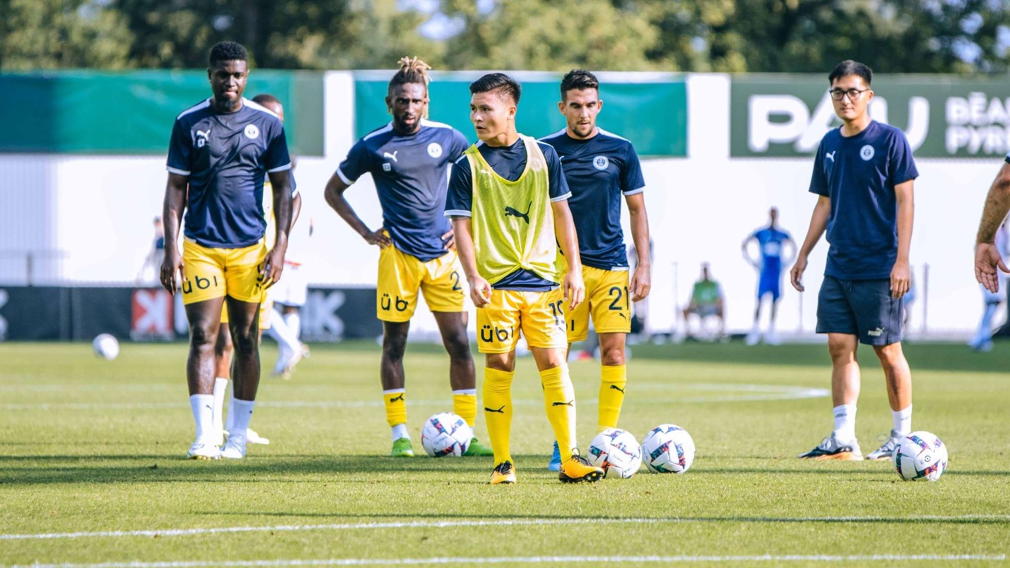 本菲卡能够 本菲卡能够